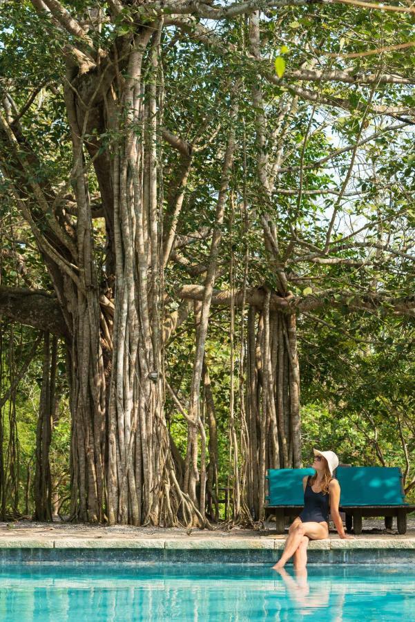 Kaav Safari Lodge, Kabini Begūr المظهر الخارجي الصورة