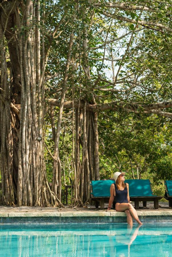 Kaav Safari Lodge, Kabini Begūr المظهر الخارجي الصورة
