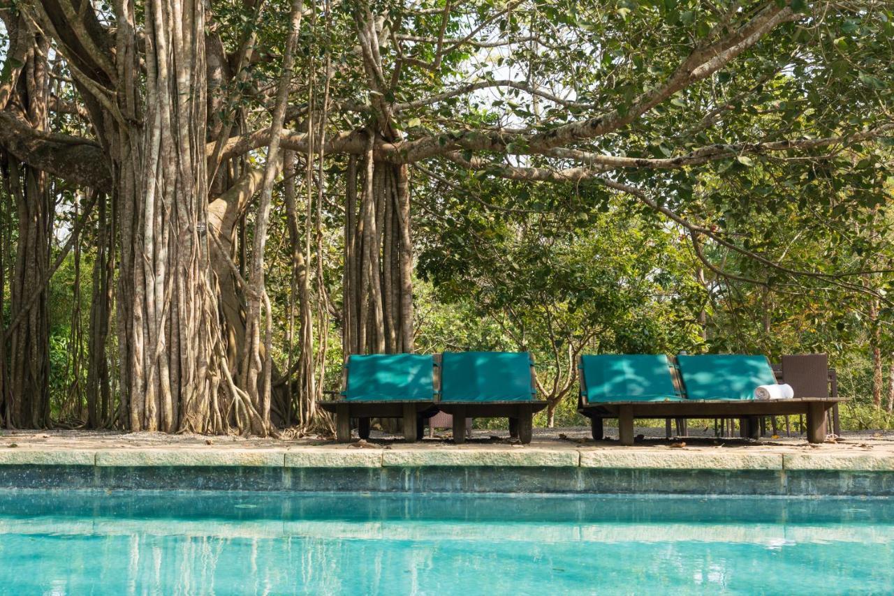 Kaav Safari Lodge, Kabini Begūr المظهر الخارجي الصورة
