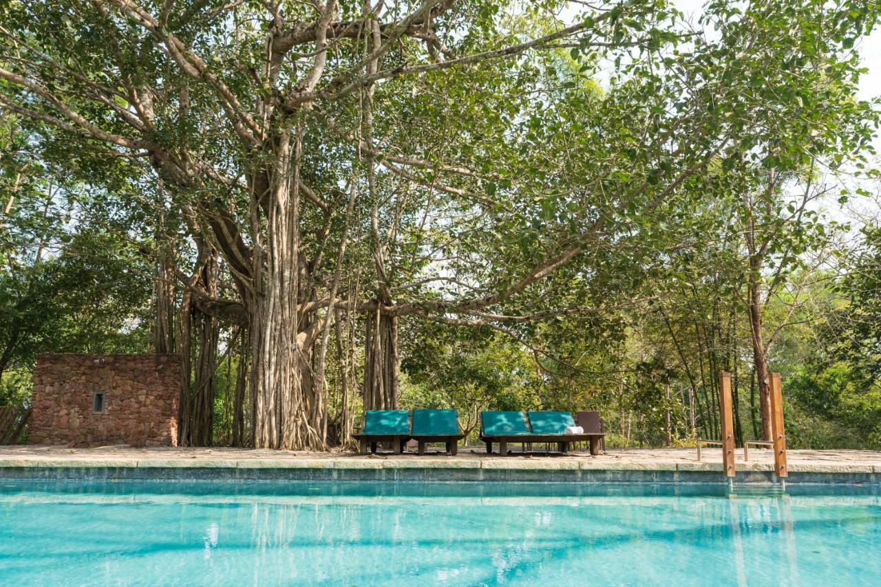 Kaav Safari Lodge, Kabini Begūr المظهر الخارجي الصورة