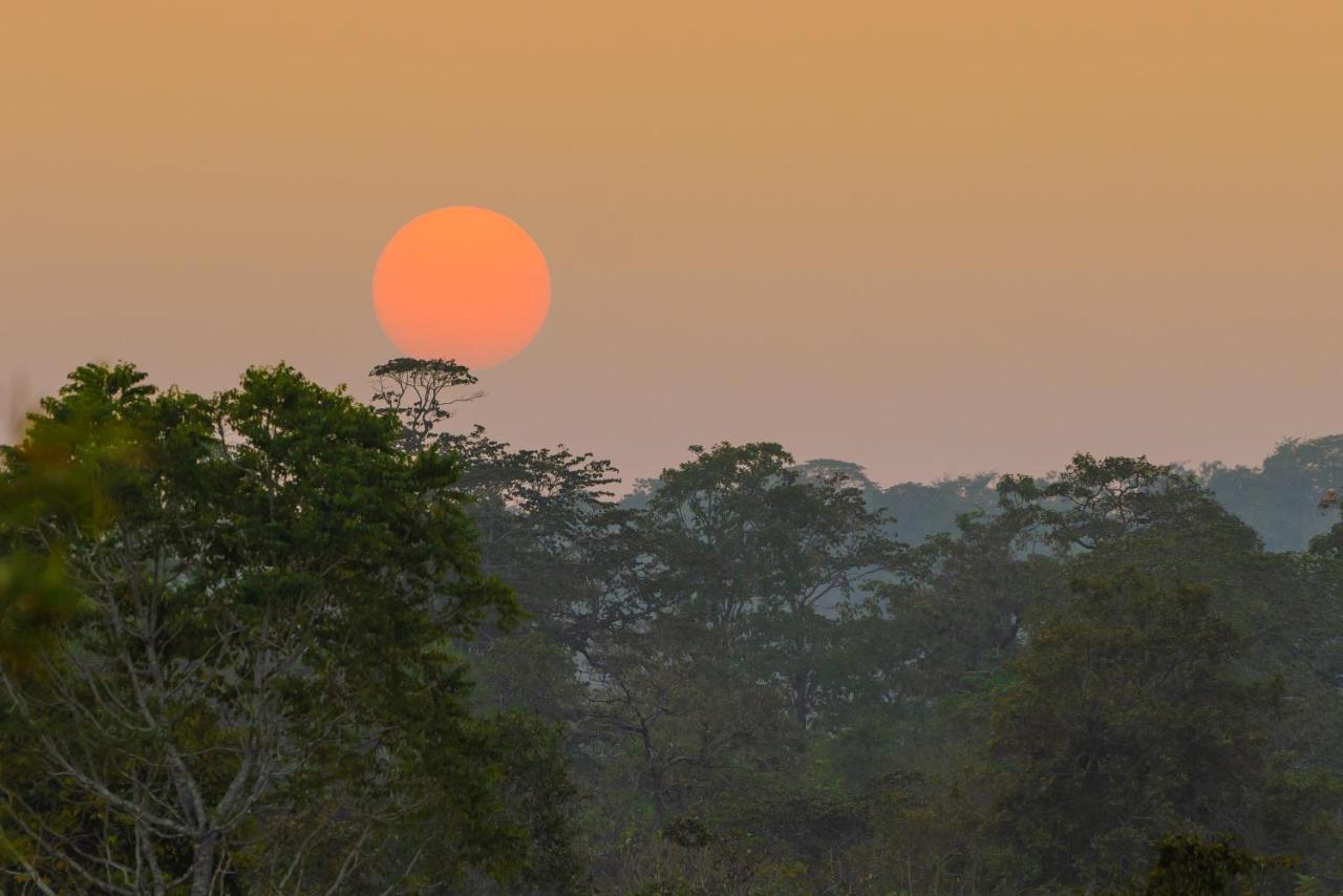 Kaav Safari Lodge, Kabini Begūr المظهر الخارجي الصورة